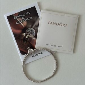 Pandora Sterling Silver Charm Bracelet